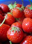 fraises