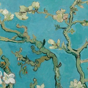 Vincent Van Gogh, Cerisiers en fleurs- 1890