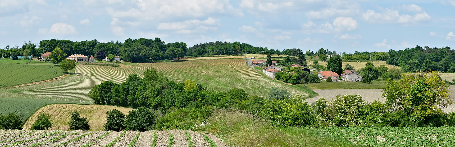 Environ de Montmoreau-France